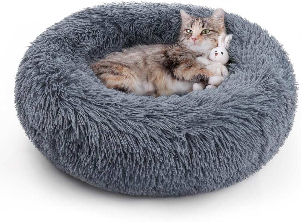 A cat enjoying a warm, cozy heated cat bed in a comfortable home setting.