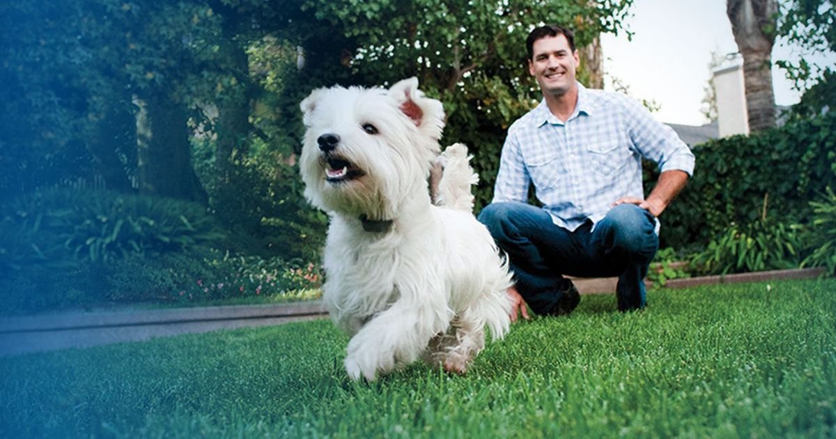 Dog Electric Fencing
